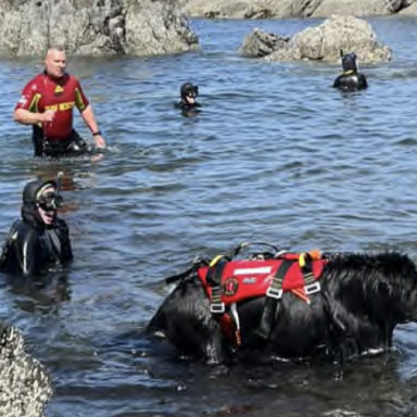 Accessible Information for Coastal Communities
